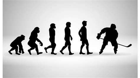 有趣！有料！有学问的人类演化史|进化|非洲_新浪新闻