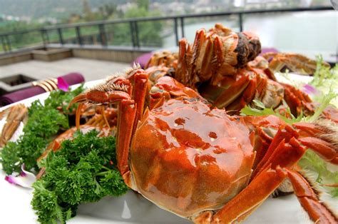 今年大闸蟹最佳赏味期在10月下旬到11月中旬 -今日生活-杭州网