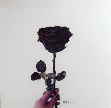 血玫瑰花图片