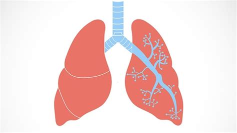 代华平：间质性肺疾病遇到新冠肺炎的挑战与对策丨新冠疫情下的新思考（3）-学术-呼吸界