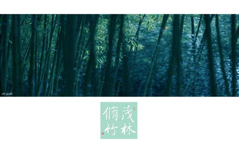 【茂林修竹摄影图片】北京生态摄影_太平洋电脑网摄影部落