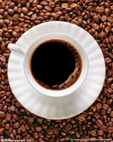 咖啡品种差别 各种咖啡的区别与品种 咖啡品种那么多哪种品种最受欢迎_第二人生