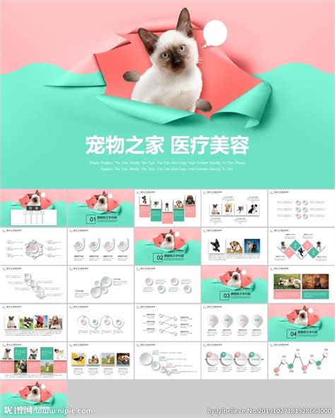 亿欧智库：2023中国宠物行业新趋势洞察报告 | 先导研报