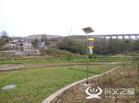 兴仁城北街道投用太阳能杀虫灯，为农作物生长保驾护航 - 兴仁