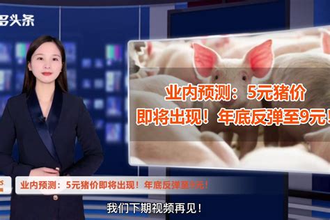 业内预测：三四月份猪价低至5元！2022年底反弹至9元/斤！_凤凰网视频_凤凰网