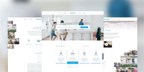 成都网站设计保险公司“泰德·托德”网站设计案例欣赏【尼高网站设计】