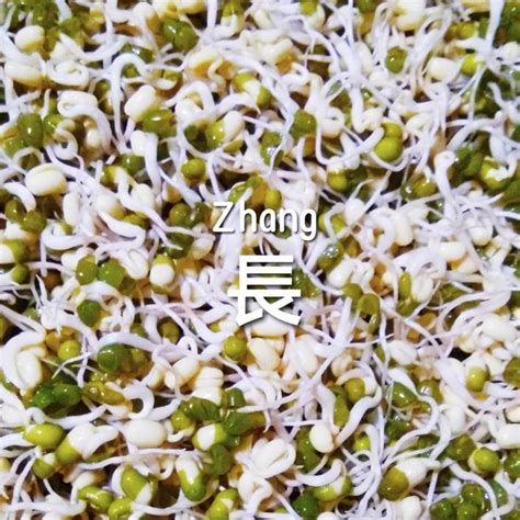 【土生绿豆芽的做法步骤图，土生绿豆芽怎么做好吃】初丯九_下厨房