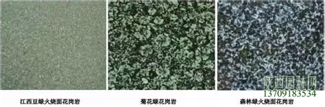 中粒黑云母花岗岩_Medium-Grained Biotite Granite_国家岩矿化石标本资源共享平台