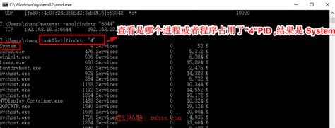 解决Windows端口占用问题（port is already in use）_port 20111 is already in use-CSDN博客