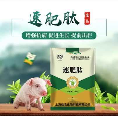 育肥猪41用什么药（育肥猪用什么药保健好）-云南省种畜推广中心