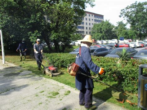 常宁：城区绿化补植工作将于5月初完成_生态_常宁新闻网