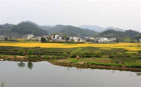 无为县春季乡村旅游线路推荐有哪些好玩的地方_芜湖网