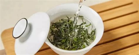 如何泡绿茶 绿茶的正确泡法教程_绿茶的泡法_绿茶说