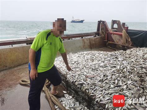 儋州海警查处4起涉嫌非法捕捞水产品案-儋州新闻网-南海网