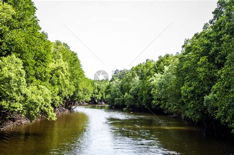 航拍海南东寨港红树林保护区 人与自然和谐相处_海口网