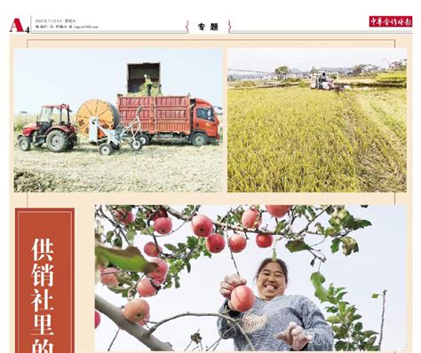 顺平县供销社：产销对接带动农特产品销售139万元-中国网海峡频道
