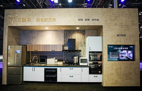 创造中国新厨房，老板电器品牌建设逆势而上