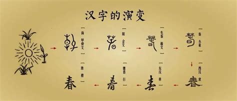 中国文字的演变顺序(汉字演变的正确过程详解) - 千梦