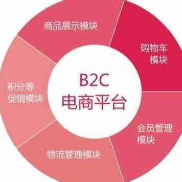 b2b2c有哪些电商平台运营方案_广州晴网信息科技有限公司