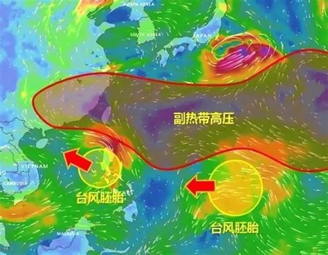 10号台风最新消息2020 台风海神在哪里登陆最新路径图_新鲜快报_人生_深圳热线