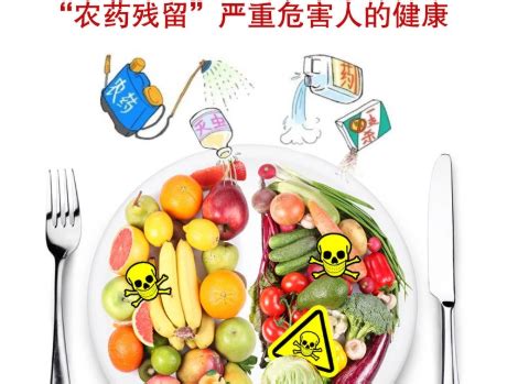 蔬菜品种不同，农残检出合格率也不同-南京微测生物科技有限公司