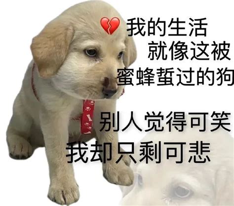 不卑微了我要发疯表情包图片