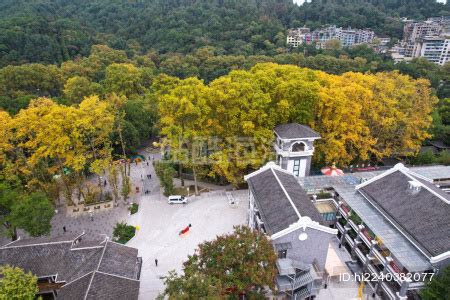 大型网络布局-宽带移机和新装-红花岗区刘纪刚通讯部