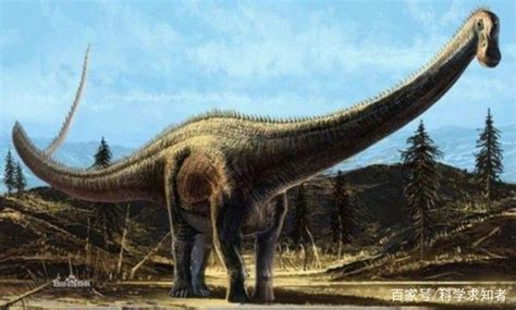 世界上最大的恐龙出现在阿根廷_探秘志