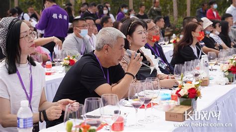 赞皇：延伸葡萄产业链 助力乡村振兴