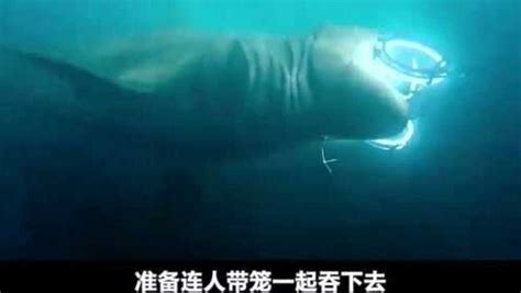 《巨齿鲨》4：巨齿鲨被毒死之后，又出现一条更大的巨齿鲨_电影_高清完整版视频在线观看_腾讯视频