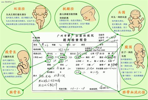 孕期怎么看懂胎儿大小，双顶径，股骨长，头围和腹围？(附对照表)_cm