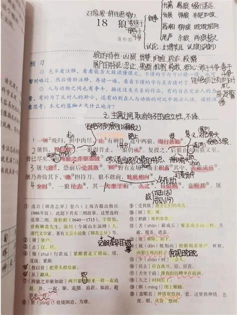 初中语文人教部编版七年级上册18 狼课后作业题-教习网|试卷下载