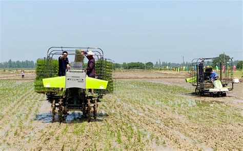 中联农机：推广水稻有序机抛秧技术，助力“机械强农” | 农机新闻网,农机新闻,农机,农业机械,拖拉机