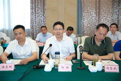 市政协副主席杨林出席江苏省安徽安庆商会成立三周年庆祝活动