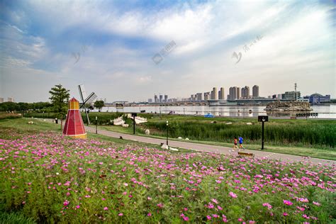【滨州摄影师2020】用镜头记录生活，让瞬间成为永恒 _滨州网