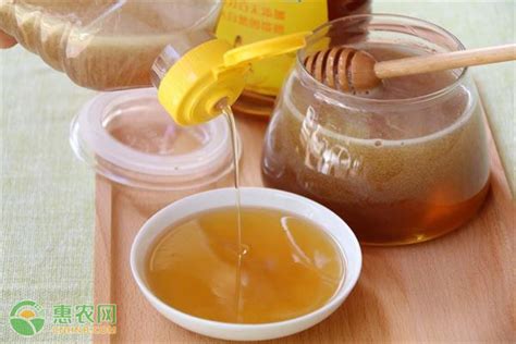 中国四大蜂蜜排名 - 惠农网