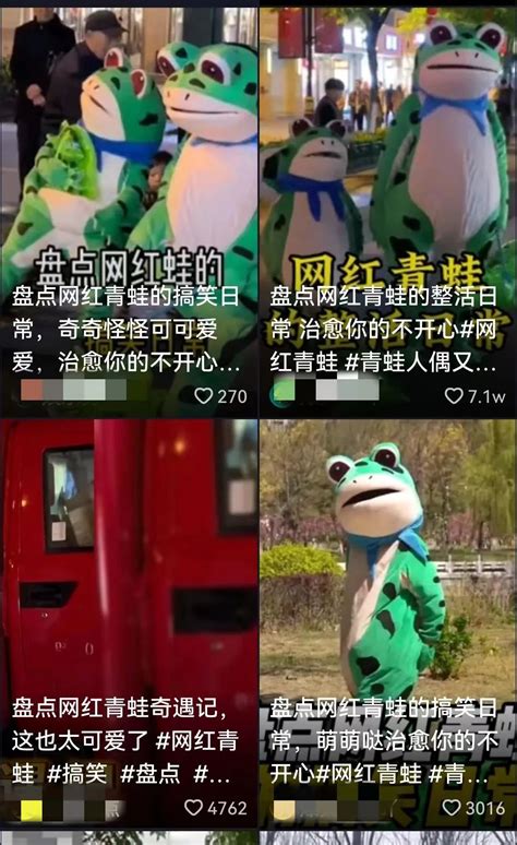火遍全国却被抓，“卖崽青蛙”要如何才能安家？_深圳新闻网