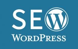 WordPress针对搜索引擎优化的15个免费插件_超级蜘蛛查