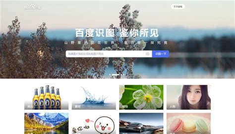 以图搜图 谷歌强大找图利器使用图文教程 - 搜索技巧 - 中文搜索引擎指南网