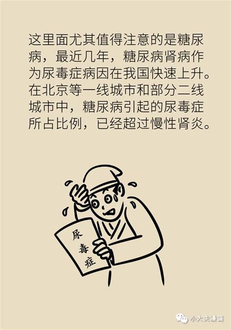 吃什么能补肾？专家说，真正的护肾方法你想不到_澎湃号·湃客_澎湃新闻-The Paper