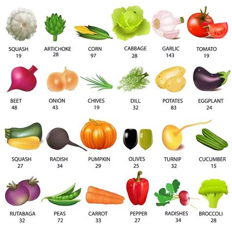 所有蔬菜大全,100种蔬菜图片大全,1000种蔬菜名字_大山谷图库