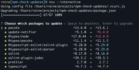 How to Update Npm Packages Safely With Npm Check Updates