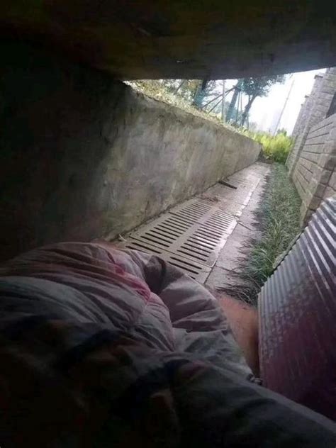 桥洞睡觉图片