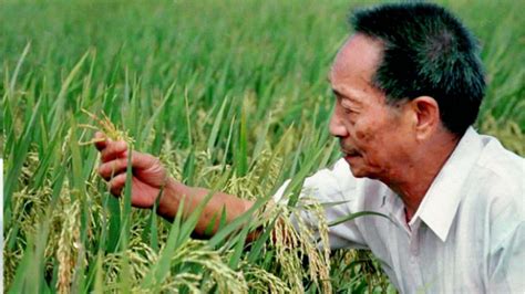 袁隆平：让中国水稻给世界惊喜_粮食科技_粮食频道