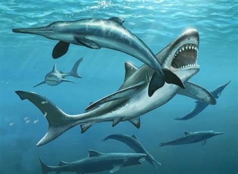 海底12000米惊现史前巨齿鲨，就连蓝鲸也是被一口吞下