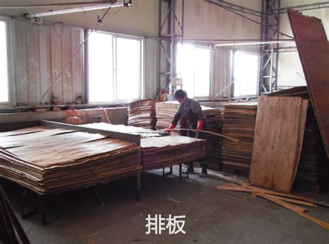 建筑模板|覆膜板-漳州市晨远工贸有限公司