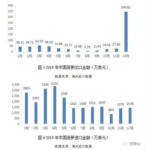 徐闻菠萝产地行情 - 菠萝价格网