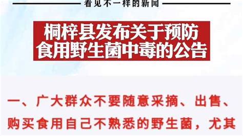 桐梓县发布关于预防食用野生菌中毒的公告_凤凰网视频_凤凰网