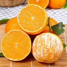 【眉山橙子】_眉山橙子品牌/图片/价格_眉山橙子批发_阿里巴巴