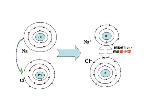 2014中考化学必考考点汇总：原子离子的结构示意图分辨